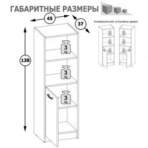 Стеллаж две ниши и дверка Альфа 09.135 солнечный свет в Арамиле - aramil.mebel-e96.ru