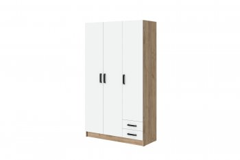 Шкаф 1200 мм Эконом без зеркала (Зарон) в Арамиле - aramil.mebel-e96.ru