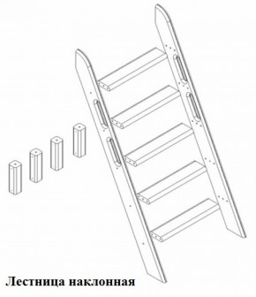 Кровать Сонечка 2-х ярусная (модульная) в Арамиле - aramil.mebel-e96.ru