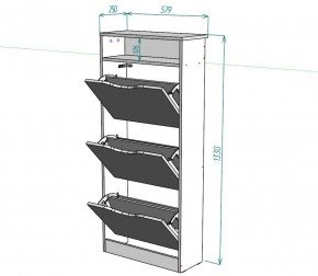 Обувница W10 (ДСС-Белый) в Арамиле - aramil.mebel-e96.ru