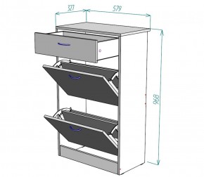 Обувница W21 (ЯАС) в Арамиле - aramil.mebel-e96.ru