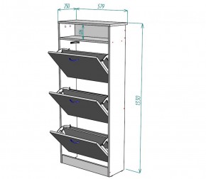 Обувница W9 (ДСС) в Арамиле - aramil.mebel-e96.ru