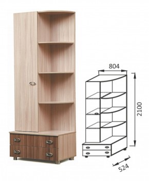 ПМ-4 шкаф для детских вещей комбинированый Юниор-6 в Арамиле - aramil.mebel-e96.ru | фото