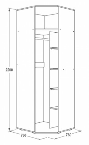 Шкаф 1-но дверный угловой Ольга-14 (760*760) в Арамиле - aramil.mebel-e96.ru