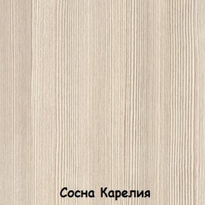 Шкаф 900 мм 2-х створчатый ДМ-02 Серия 2 (СВ) в Арамиле - aramil.mebel-e96.ru