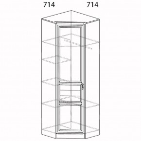 Шкаф для одежды угловой Лира 57 (Яна) в Арамиле - aramil.mebel-e96.ru