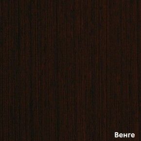 Шкаф-купе Бассо 7-600 07 (полки слева) в Арамиле - aramil.mebel-e96.ru