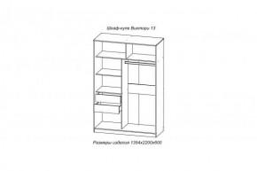 Шкаф-купе ВИКТОРИ-13 Анкор темный в Арамиле - aramil.mebel-e96.ru