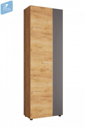 Шкаф с выдвижной штангой ШК-001 Сафари (Стиль) в Арамиле - aramil.mebel-e96.ru | фото