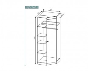 Шкаф угловой Сканди , ШДУ765.1 (ДСВ) в Арамиле - aramil.mebel-e96.ru