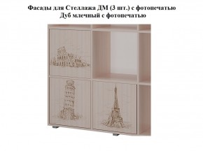 Стеллаж ДМ (ТМК) в Арамиле - aramil.mebel-e96.ru