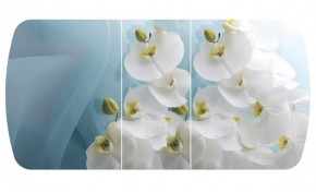 Стол Бостон-3 (Белая Орхидея) 1100/1420*700, опора Брифинг в Арамиле - aramil.mebel-e96.ru