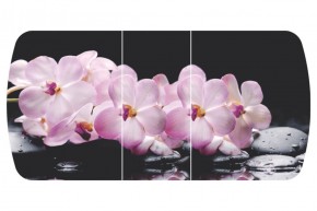 Стол Бостон-3 (Розовая Орхидея) 1100/1420*700, опора Брифинг в Арамиле - aramil.mebel-e96.ru