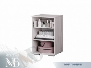 Тумба прикроватная ТБ-02 Кимберли (БТС) в Арамиле - aramil.mebel-e96.ru