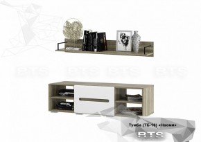 Тумба ТВ ТБ-16 Наоми (БТС) в Арамиле - aramil.mebel-e96.ru