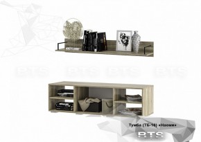 Тумба ТВ ТБ-16 Наоми (БТС) в Арамиле - aramil.mebel-e96.ru