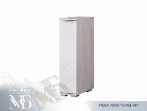 Тумба узкая ТБ-21 Кимберли (БТС) в Арамиле - aramil.mebel-e96.ru